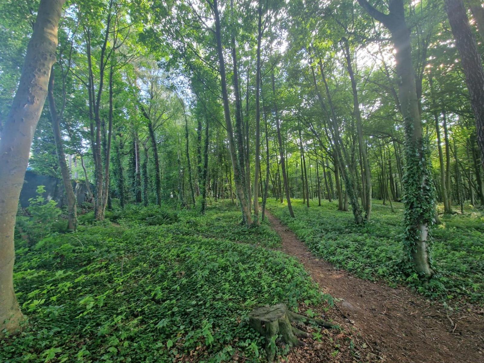 Osrodek Promenada- Faleza Jastrzębia Góra Exteriér fotografie