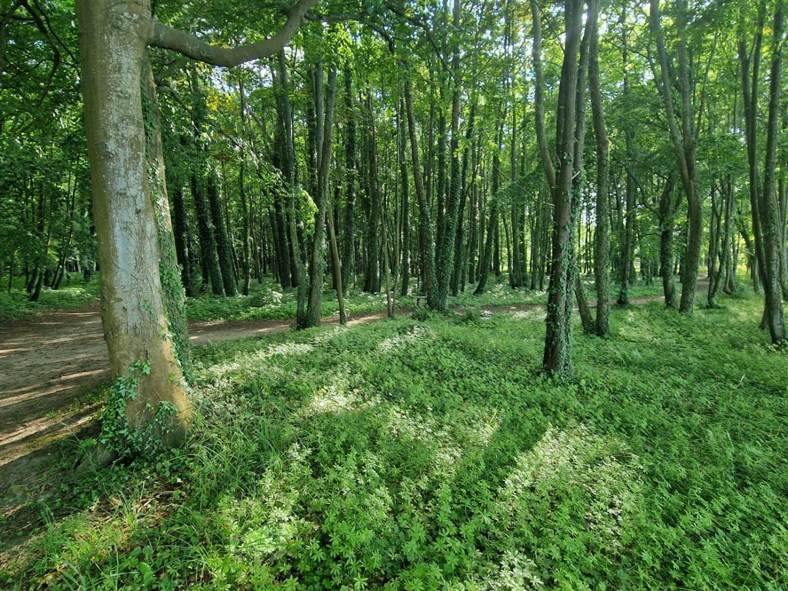 Osrodek Promenada- Faleza Jastrzębia Góra Exteriér fotografie
