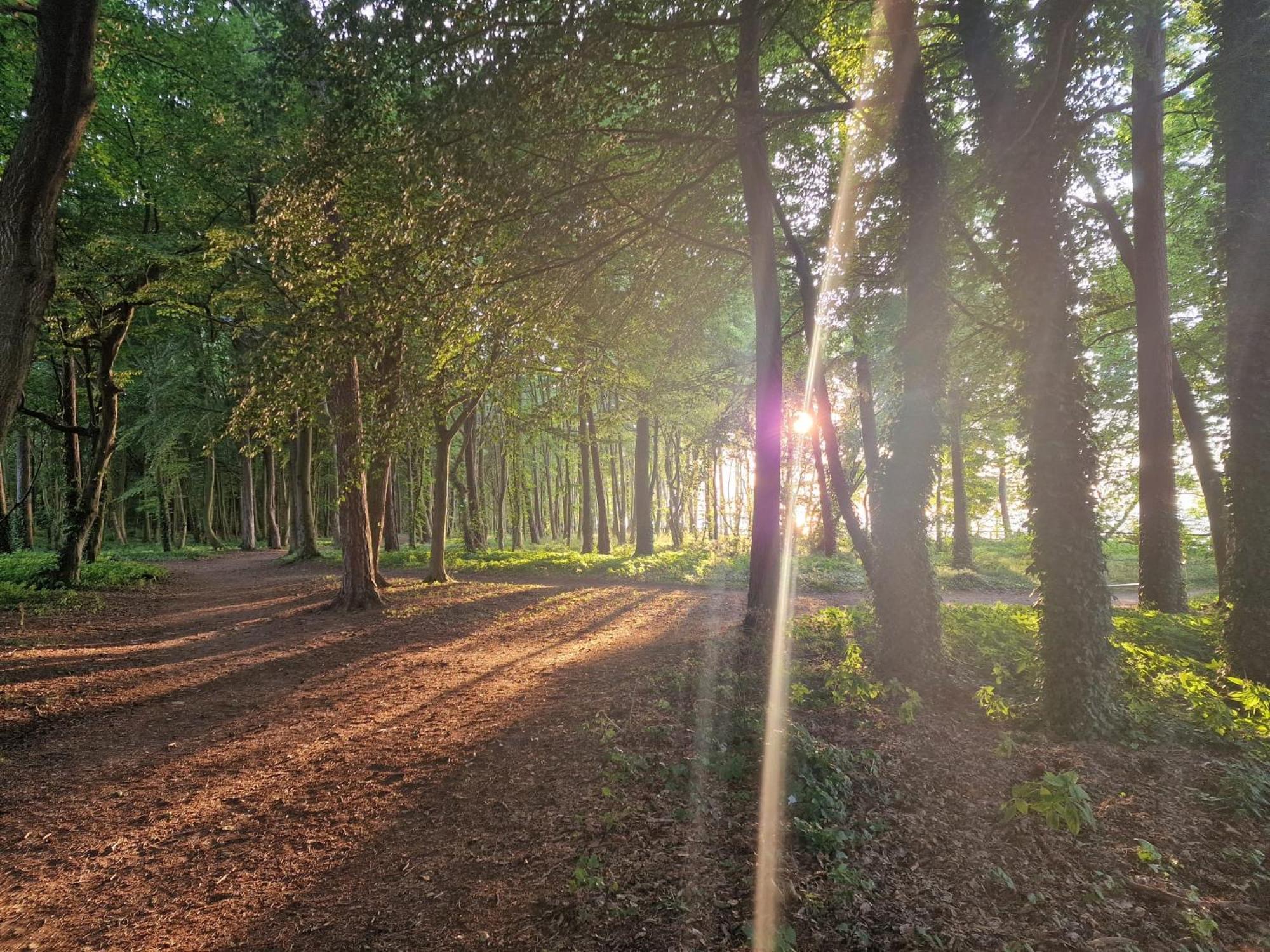 Osrodek Promenada- Faleza Jastrzębia Góra Exteriér fotografie