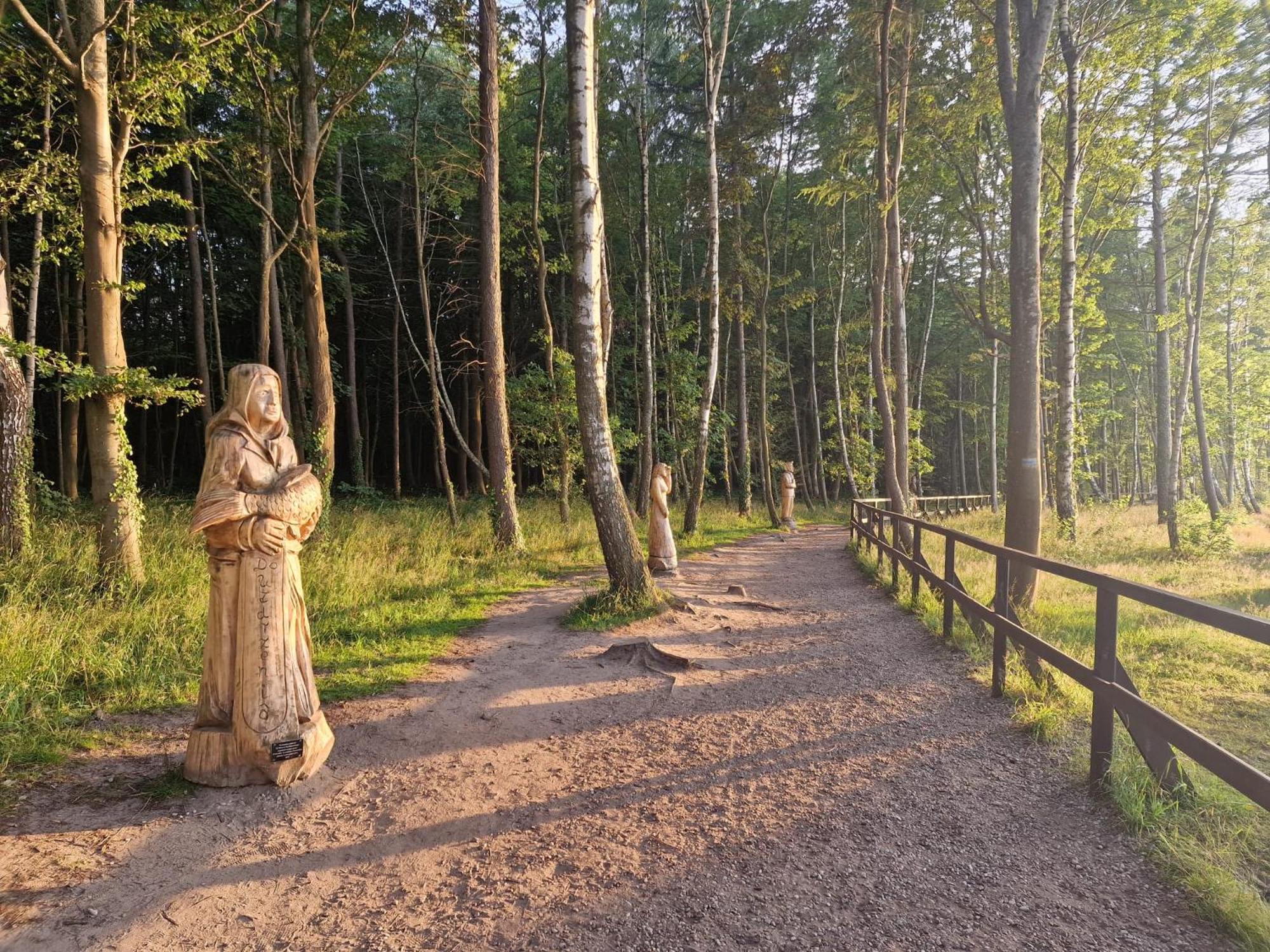 Osrodek Promenada- Faleza Jastrzębia Góra Exteriér fotografie
